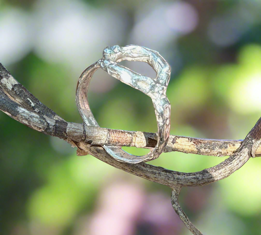 Universe Ring